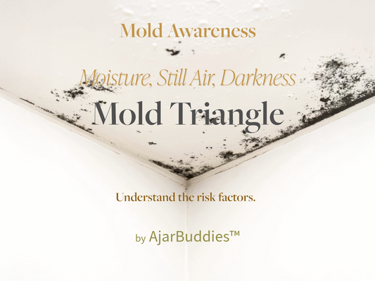 The Mold Triangle - Moisture, Air & Darkness